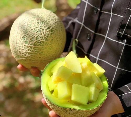 娱乐吃瓜壁纸图片,揭秘吃瓜群众背后的故事